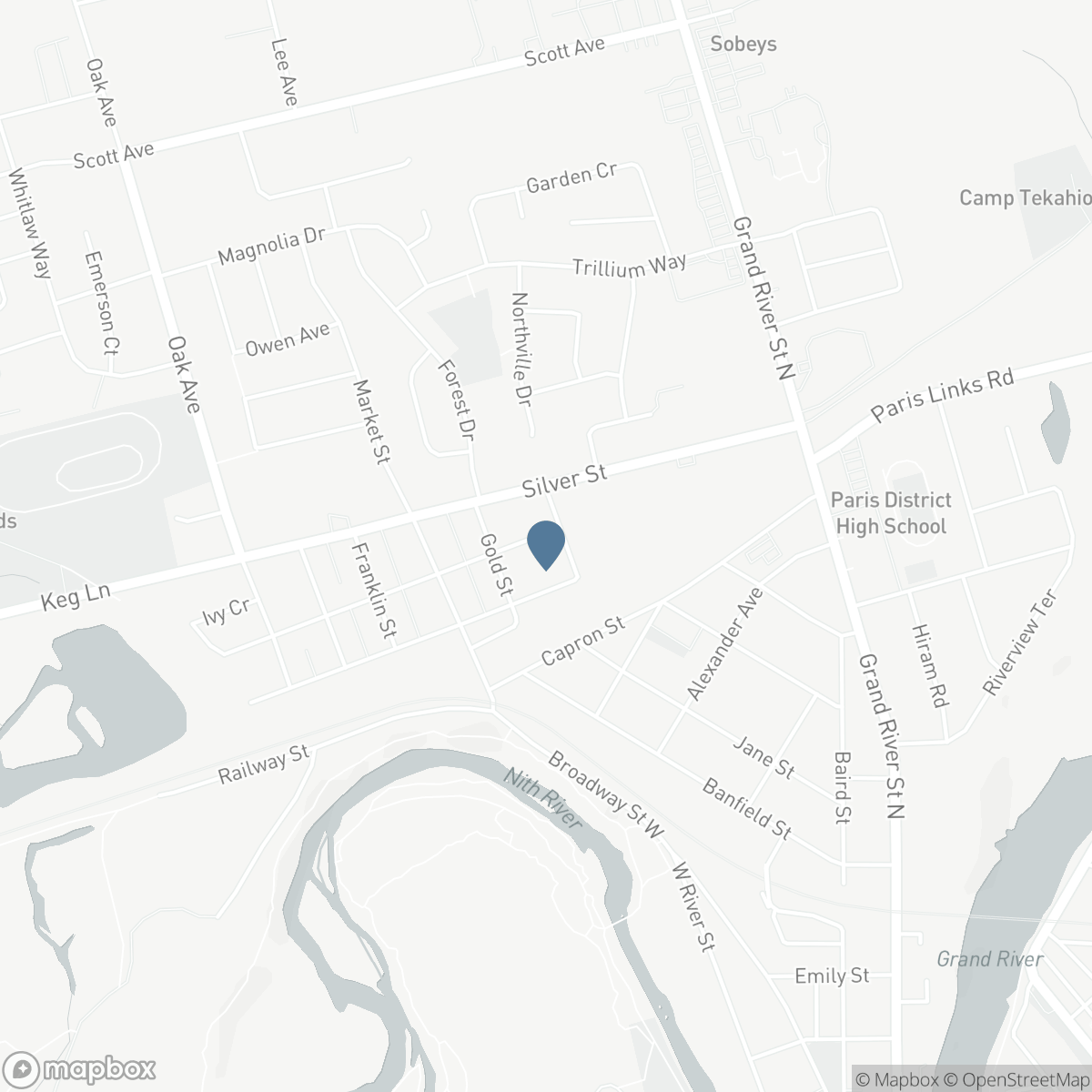 4 WELLINGTON Street, Paris, Ontario N3L 1S4